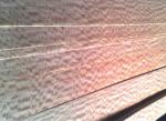 Sliced Natural Figured Makore Wood Veneer Sheet