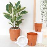 11cm Self Watering Houseplant Pots