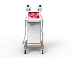 New arrival 2 handles coolsculption fat freezing machine cryolipolysis weight