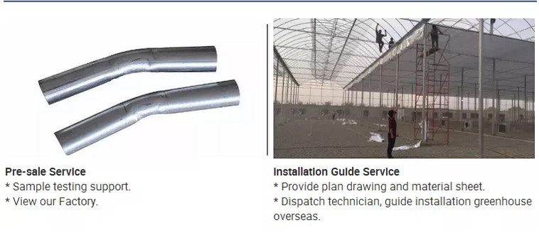 Easy Install Plastic Film Greenhouse , Dome Shaped Greenhouse Span Width 6 / 8 / 10m