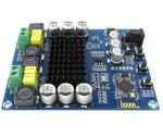 Dual Channel Digital Amplifier Audio Module