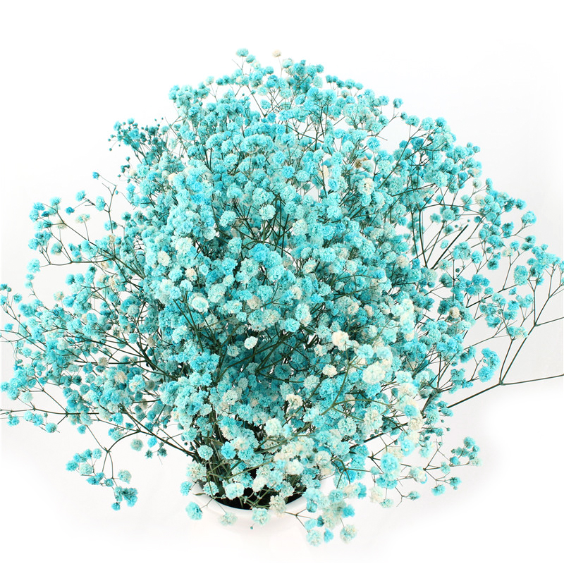 Decorative Wall Natural Touch Preserved Hydrangea Color Chart Available