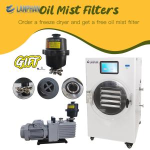 China Vacuum Freezer Machine Home Freeze Dryers Drying Food Equipment With Oil Mist Filter wholesale