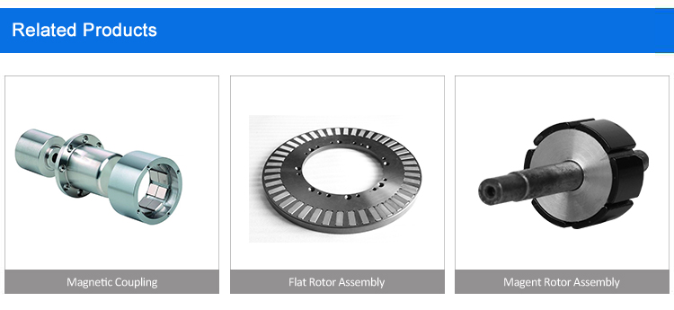 Permanent Injection Multi-Pole Ferrite Motor Rotor Magnet