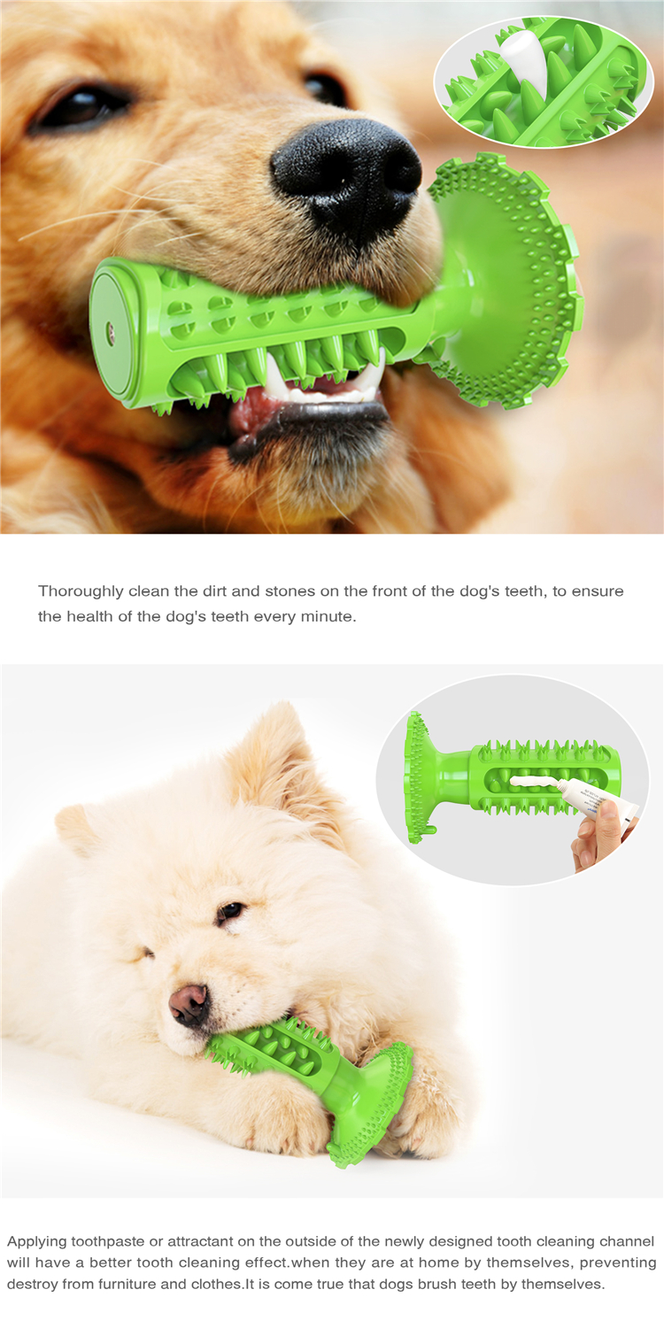 Professional Manufacturer Supply Classical Tpr Dog Squeaky Sounding Toothbrush Dog Interactive Toy
