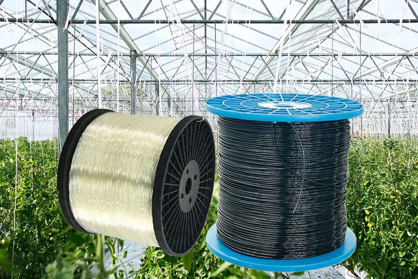 Anti UV Polyester Monofilament Wires for Greenhouse Vineyard Frame Support 2.0mm 2.2mm
