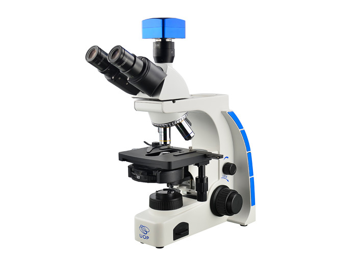 Tinocular Phase Contrast Microscope 40X - 1000X High School Microscope