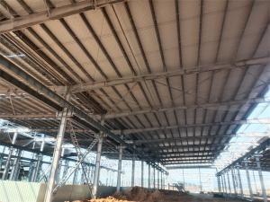 China Customized Flexible Light Steel Structure Building Construction Long Span wholesale