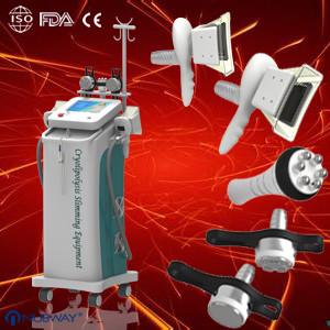 China Fat Freeze Cryolipolysis Slimming Machine for body reshaping wholesale
