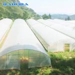 Tropical Tunnel Plastic Greenhouse / Customized Agricultural Greenhouse