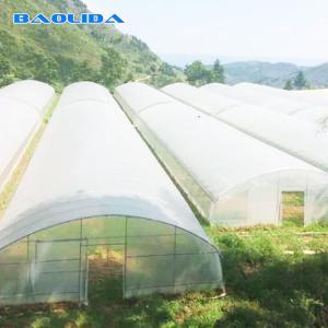 China Tropical Tunnel Plastic Greenhouse / Customized Agricultural Greenhouse wholesale