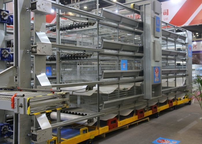 Energy Saving Automated Poultry Equipment Simple Structure 1200×600×480 Mm