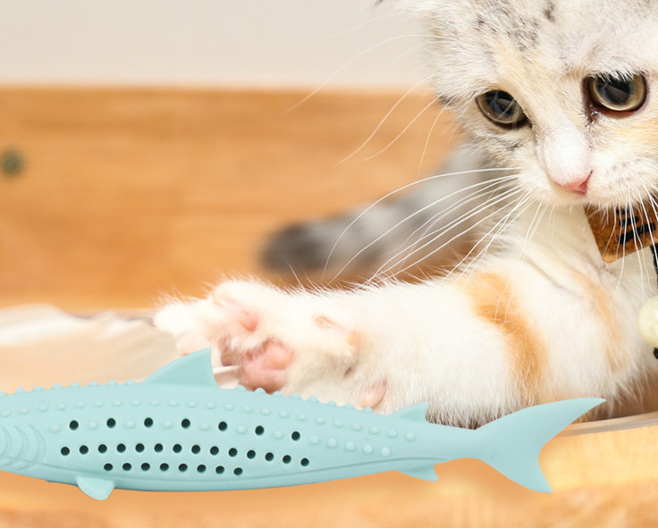 chew toys for kittens teething
