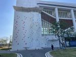 Indoor Adult Speed Climbing Holds EN 12572 For University Club