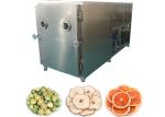 18-24H Industrial Freeze Drying Equipment 300 KG/Batch