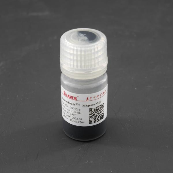 Agarose NHS Activated Magnetic Beads Preactivated N - Hydroxy Succinimide