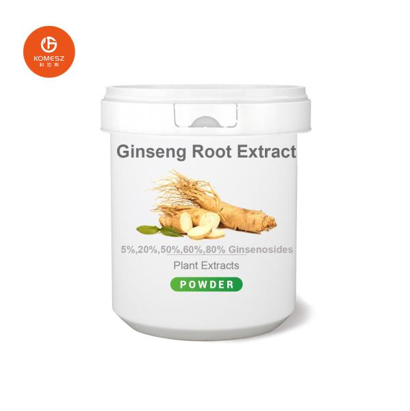 China Manufacturer Pesticide Free Water Soluble Ginsenosides 5-80% HPLC Ginseng