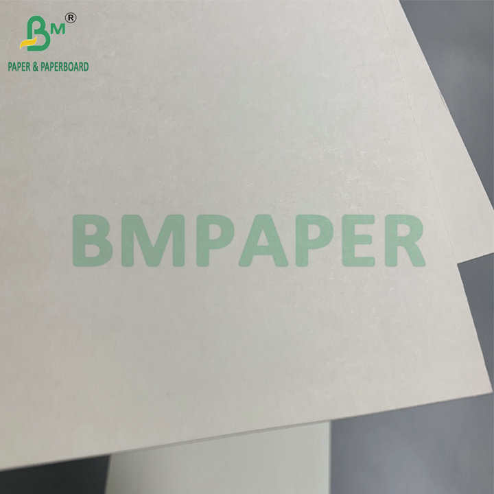 C1S PE Surface 210gsm 230gsm Cup Paper For Drinks Cup Jumbo Roll