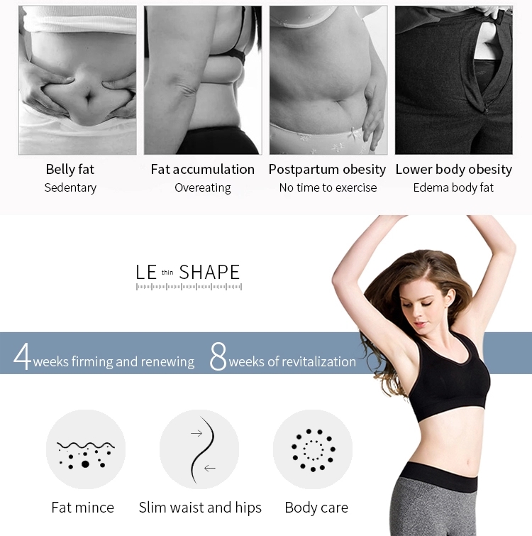 Electric Fat Pigment Reduction Rf 40k Ultrasonic Cavitation Machine Handheld for Home Use