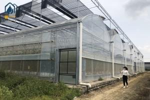 China Agriculture Multispan Vegetable Growing Greenhouse Tunnel Multi Span Film Greenhouse wholesale