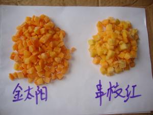China IQF Frozen Apricot Cubes / dices, peeled and pitted, blanched wholesale