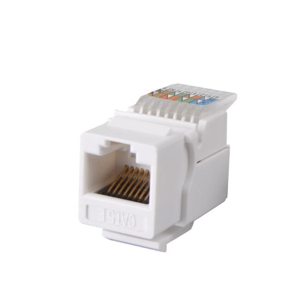 Quality UTP Cat5e/Cat.6 Keystone Jack 110 IDC Type Networking Wall Plate by Exact Cables Tolless for sale