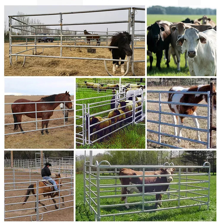 Removable JIS API Galvanized Portable Fence 1m-12m Structural ST35 ST52