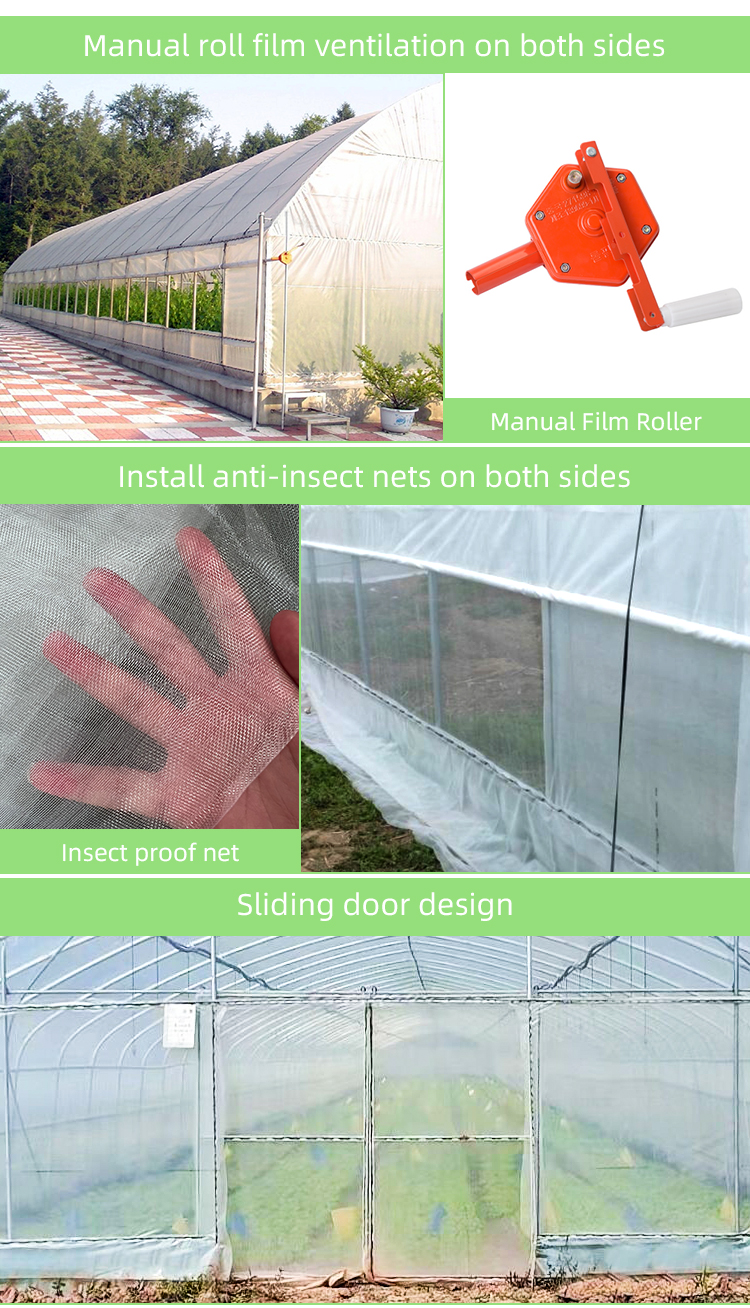 Economical Tunnel Greenhouse with Side Ventilation for Plant Growth