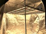 8 Bars ETL 4000K Grow Light For Herb Garden