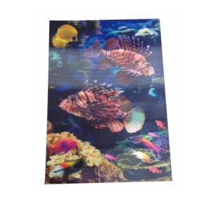China Waterproof 0.40mm PET Aquarium Pattern Paper Print Poster wholesale