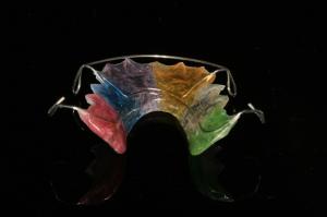 China Custom Maintenance Dentistry Orthodontic Dental Appliance wholesale