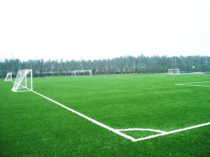 China Landscaping Football Field Artificial Turf Fake Grass SGF ISO9001 Certification wholesale