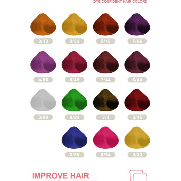Professional Salon Use Hair Color Powder OEM/ODM Ammonia-Free Dust-Free Splendid Permanent Formula Shiny Temporary Effects