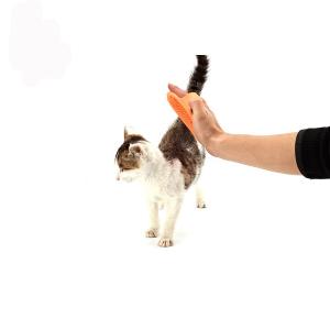China TPR Material Pet Hand Brush , Pet Dematting Comb Washable Size 13 * 8.5cm wholesale