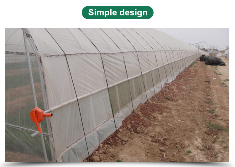 Single-Span Agricultural Greenhouses Solution for Growing Produce