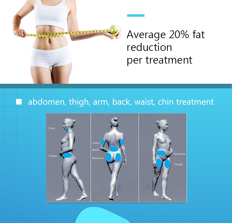 Cellulite Reduction Cryolipolysis Slimming Machine With CE