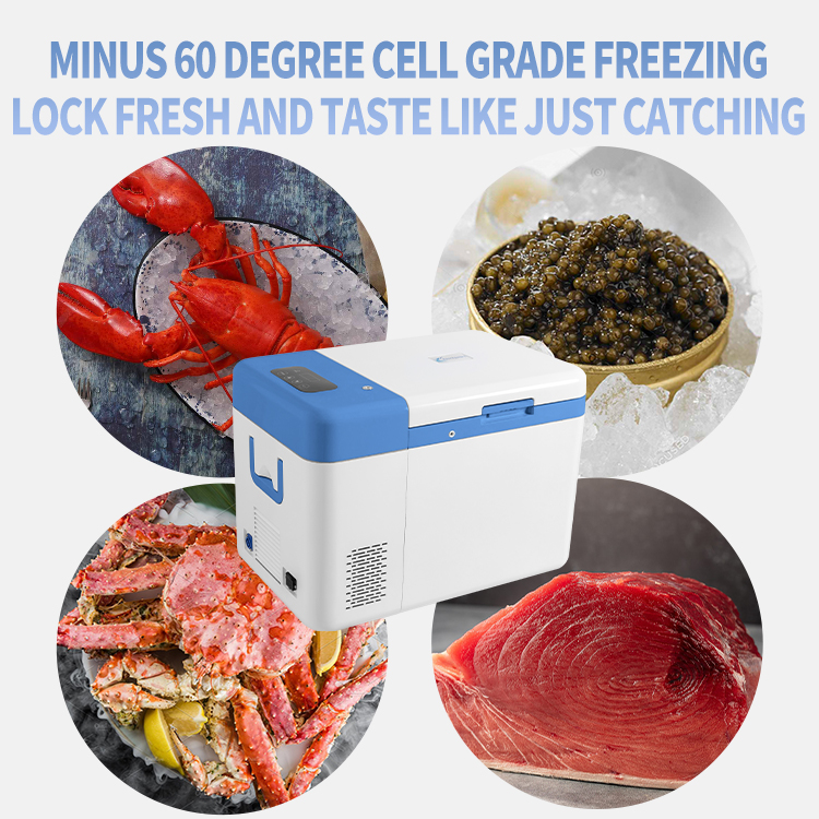 -60 Degree 25L Mini Portable Fridge for Car and Home Medical Storage 616*392*455mm 1