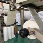 Recyclable Paper Cup Raw Material 190g+15g PE Coated Paper Rolls