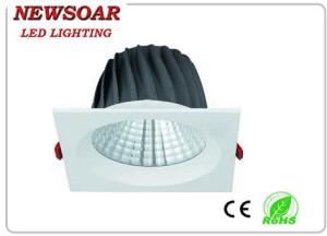 China energy saving cob led lighting products 30W for building wholesale