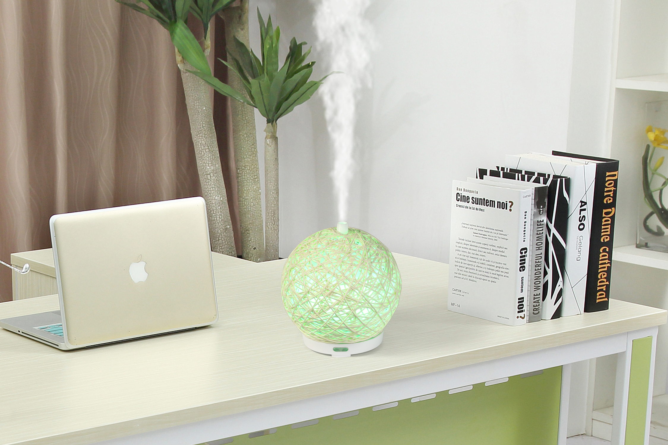 Ball Net Design Rattan Essential Oil Diffuser Ultrasonic Air Humidifier