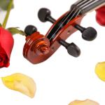 How many instruments are there in a symphony orchestra Violin kit Basswood body