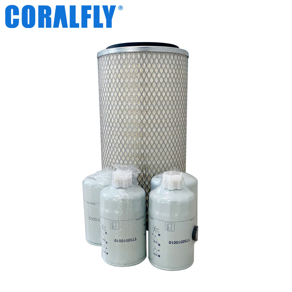 Diesel Engine Lovol Fuel Filter T74105021 T741010009 T64101001 T741010024