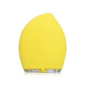 China Rechargeable Silicone Facial Cleansing Brush Portable Electric Massager 125Hz wholesale
