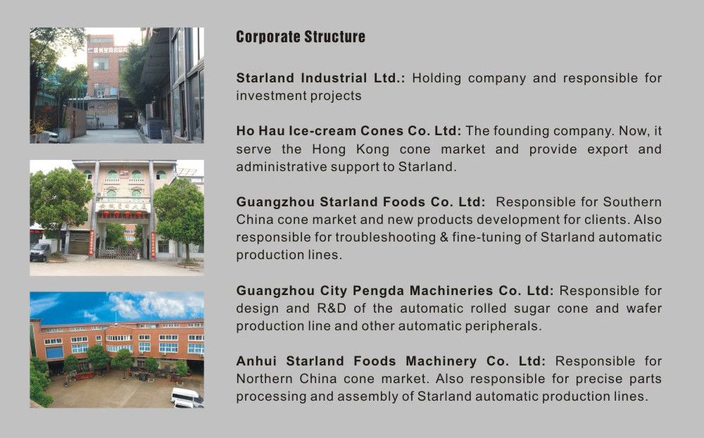 fully automated production line for 39 Baking Plates 1.1kW 9kg and Hour Sugar Cone