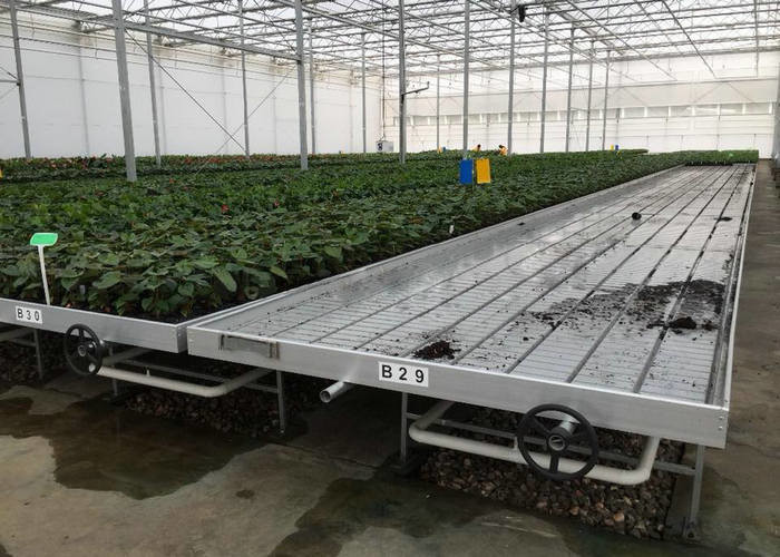 24 X 24 24 X 18 20x30 Venlo Custom Glass Greenhouse Cover Sides Polycarbonate Sheet Roof Covering For Tomatoes