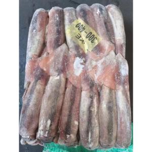 China 300g 400g Healsea Argentina BQF Frozen Illex Squid wholesale