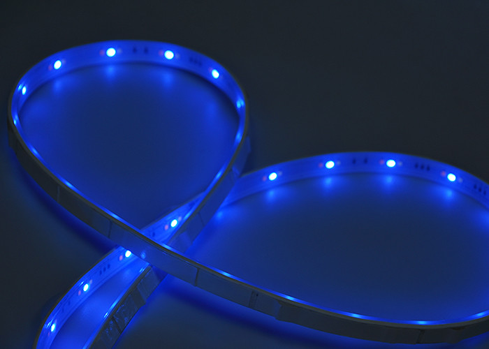 RoHS Bright RGBWW 2m 10w/M 24V LED Strip Light