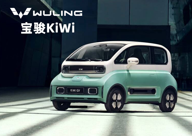 E100 E300 Ev Electric Car