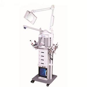 China Rejuvenation Face Liffting Deep Cleaning Spot Removal Multifunctional Beauty Instrument wholesale