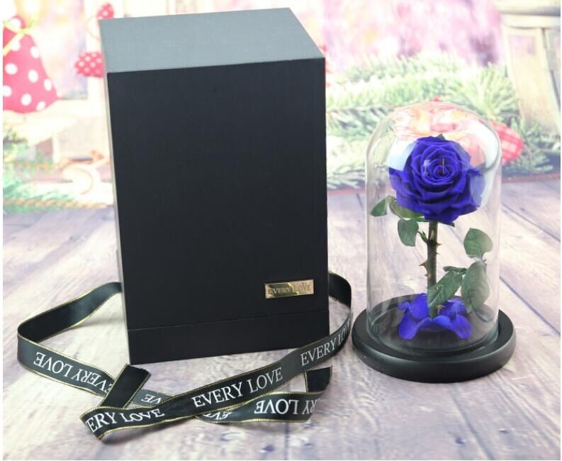 Real Natural Fresh Big Rose Preserved Flower Preserved Everlasting Real Roses in Glass Dome for Sale